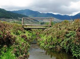Phobjikha Valley 