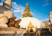 Classic Nepal