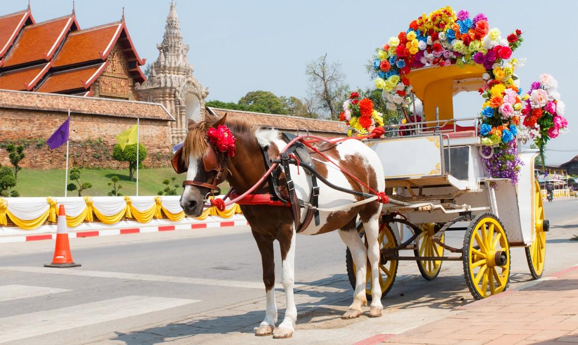 Horse carriage, Lampang
