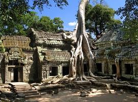 Ta Prohm, Angkor, Cambodia