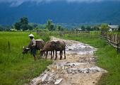Secrets of Indochina