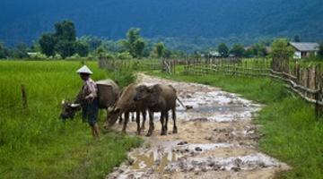 Countryside, Laos