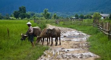 Countryside, Laos
