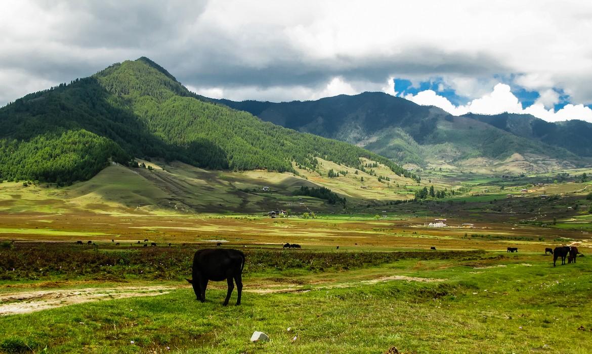Phobjikha Valley