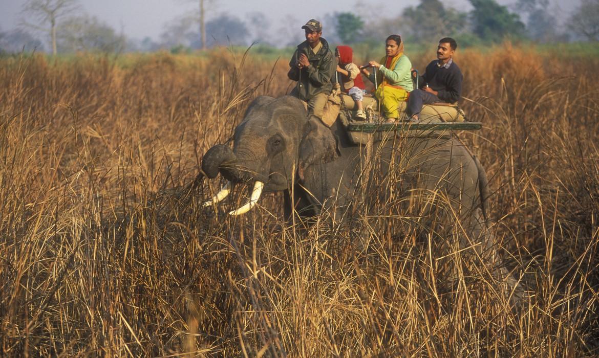 Kaziranga National Park