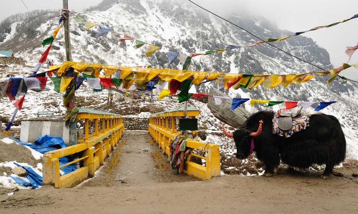 Scenery, Sikkim