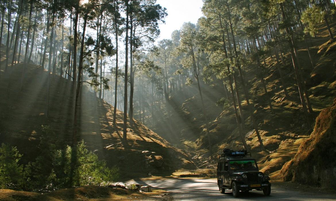 Uttarakhand Road, Almora