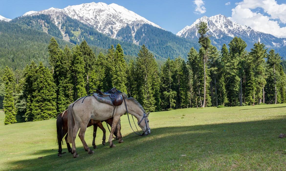 Little Switzerland, Kashmir
