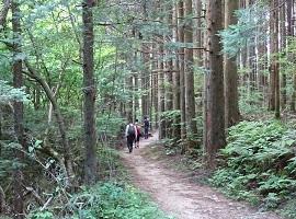 Nakasendo Highway, Kiso Valley, Japan