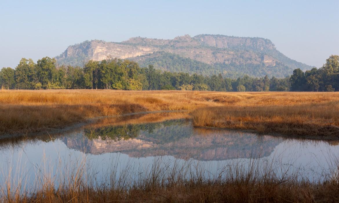 Landscape, Bandhavgarh National Park