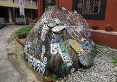 Visit a Tibetan Settlement