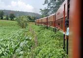 The Temples & Trains of Burma