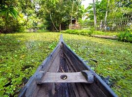 Backwaters, Kumarakom, Kerala