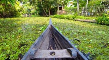 Backwaters, Kumarakom, Kerala
