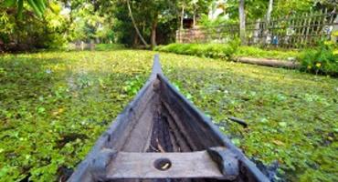 Backwaters, Kumarakom, Kerala