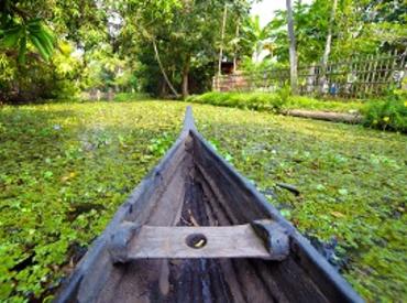 Backwaters, Kumarakom, Kerala