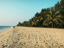 Marari Beach