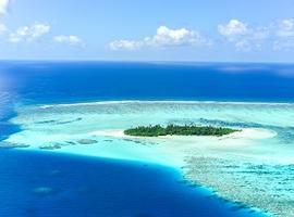 The Maldives