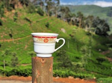 Tea, Sri Lanka