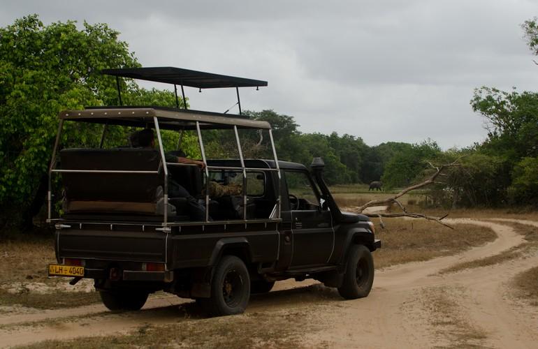 Jeep, Leopard Trails Safari Camp