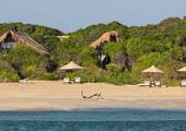 Jungle Beach Resort