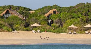 Jungle Beach Resort