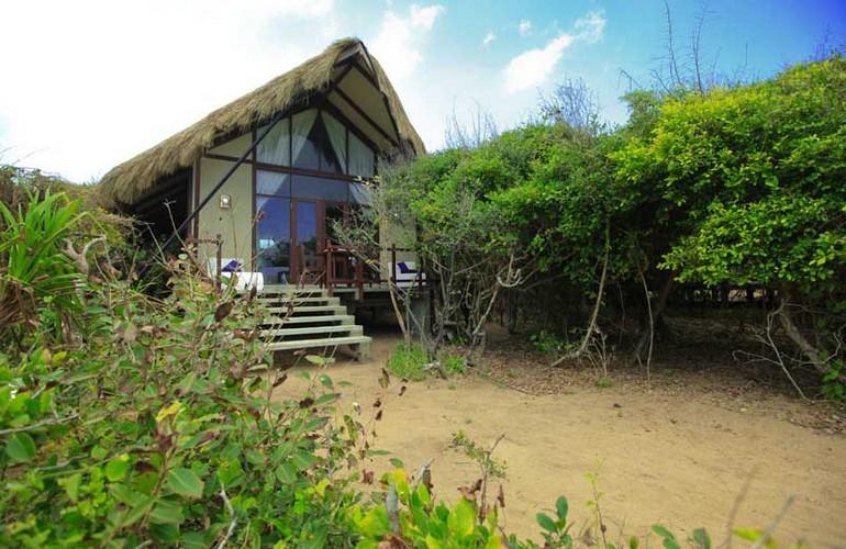 Cabin, Jungle Beach Resort