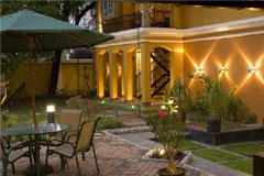 Garden,Tea Bungalow