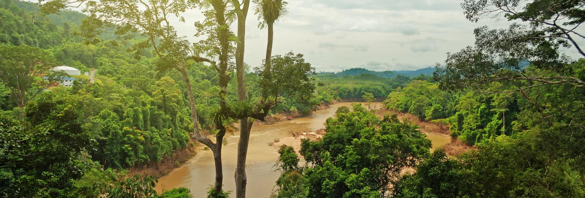 Taman Negara National Park
