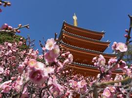 Tochoji Temple, Fukuoka