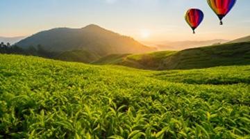 Hot air baloons, malaysia