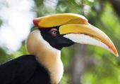 Exploring Malaysia & Borneo