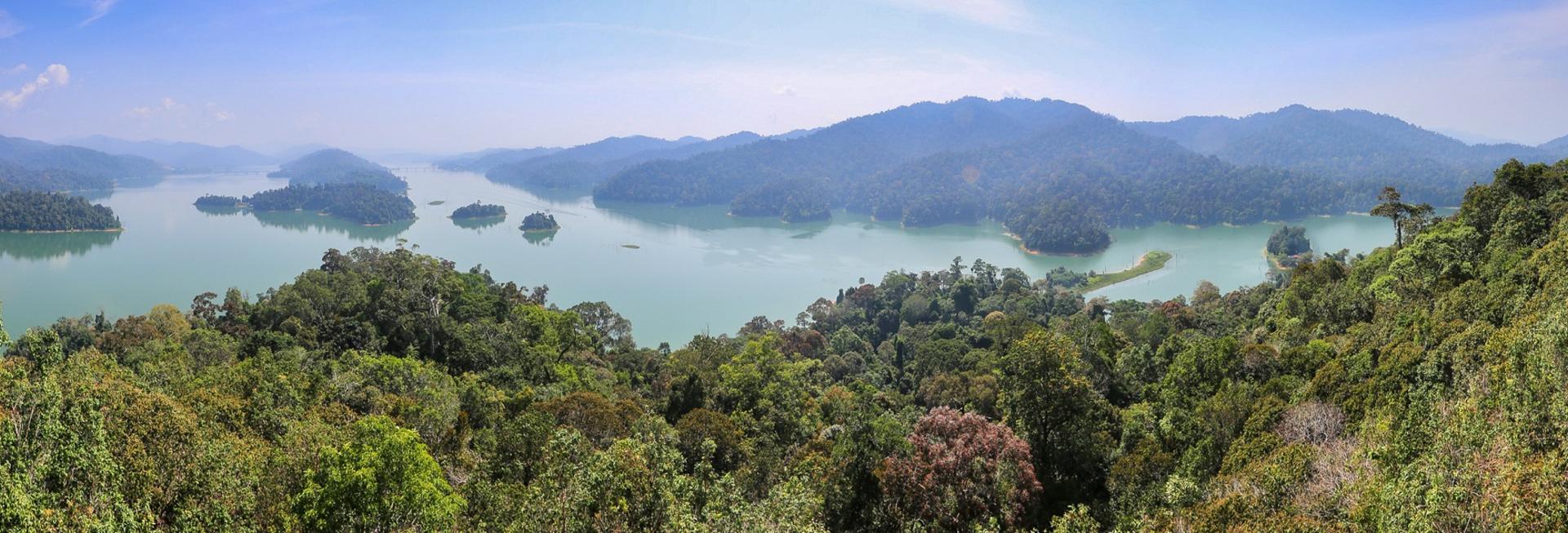 Belum Rainforest Reserve, Malaysia