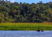 The Jungles & Islands of Northern Malaysia