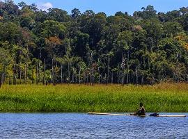 Belum Rainforest Reserve, Malaysia