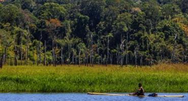 Belum Rainforest Reserve, Malaysia