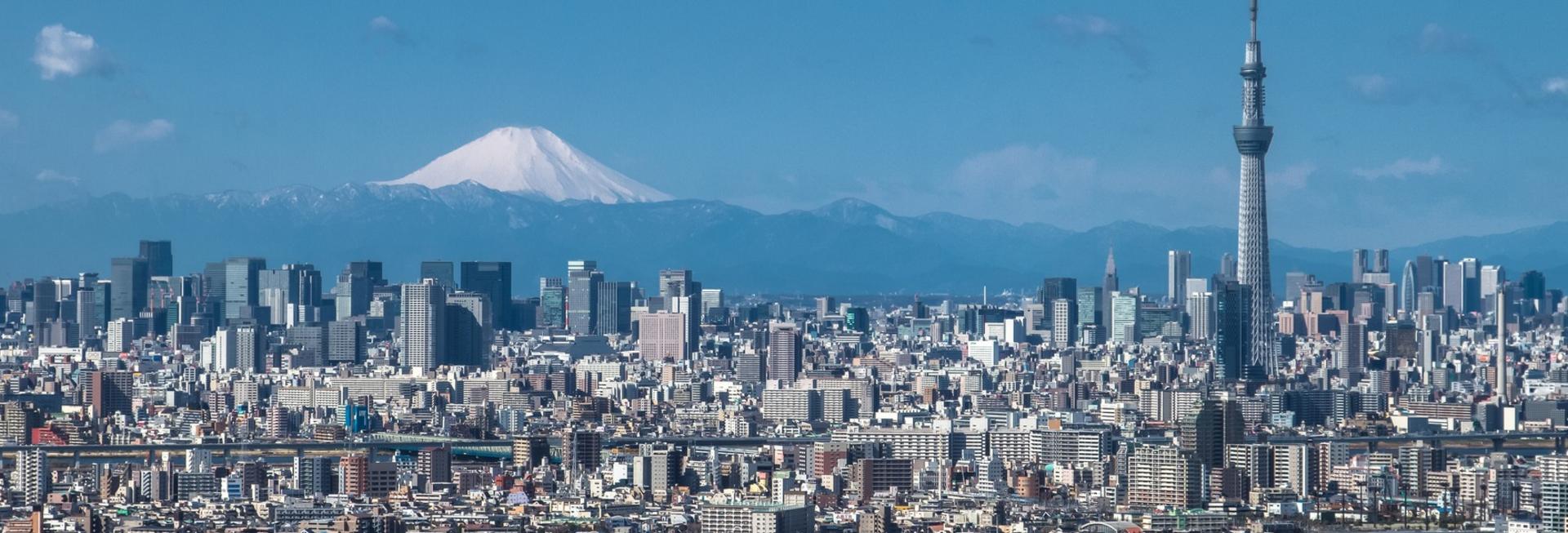 Tokyo Skytree & Mout Fuji