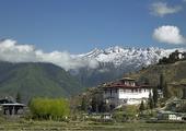Dzongs, Dragons & Mountains