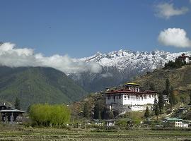 Dzong, Punakha