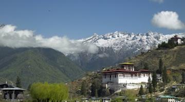Dzong, Punakha