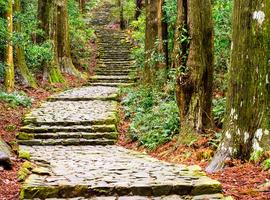 Kumano Kodo Trail, Japan