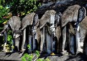 The Highlights of Thailand