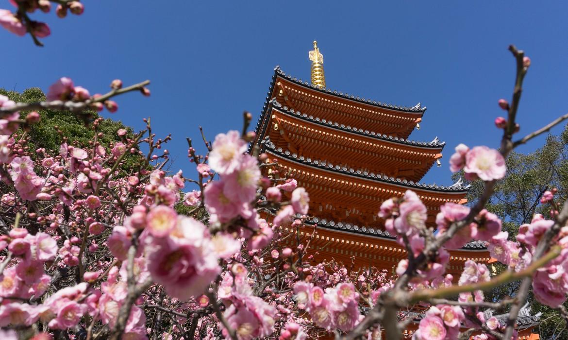 Tochoji Temple, Fukuoka