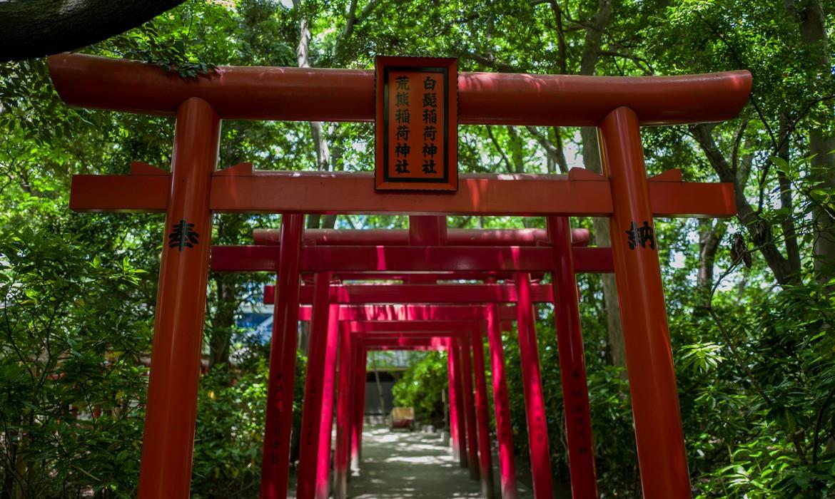 Torii, Fukuoka