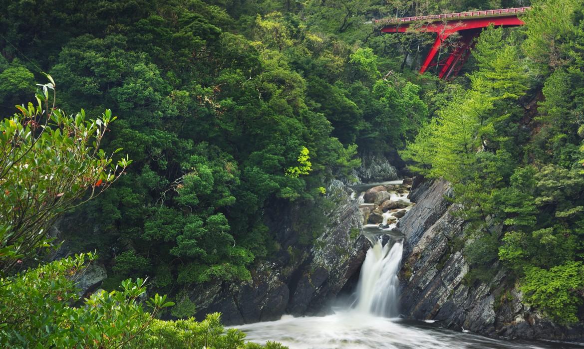The Toroki Falls, Yakushima
