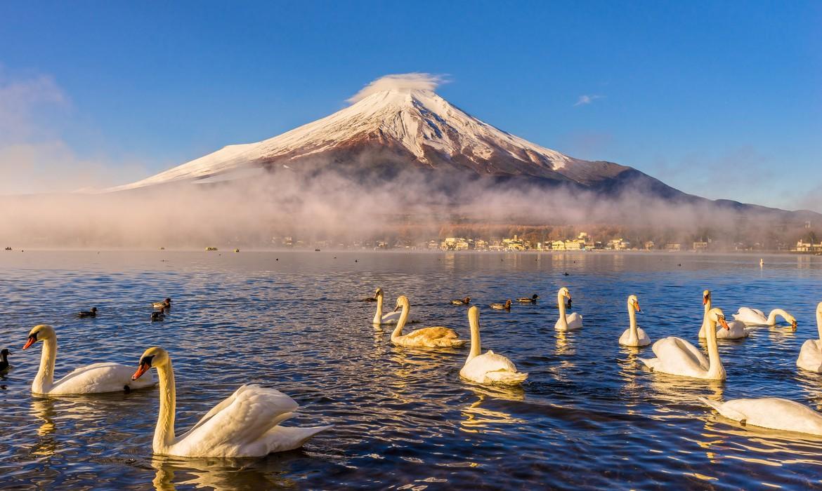 Mount Fuji