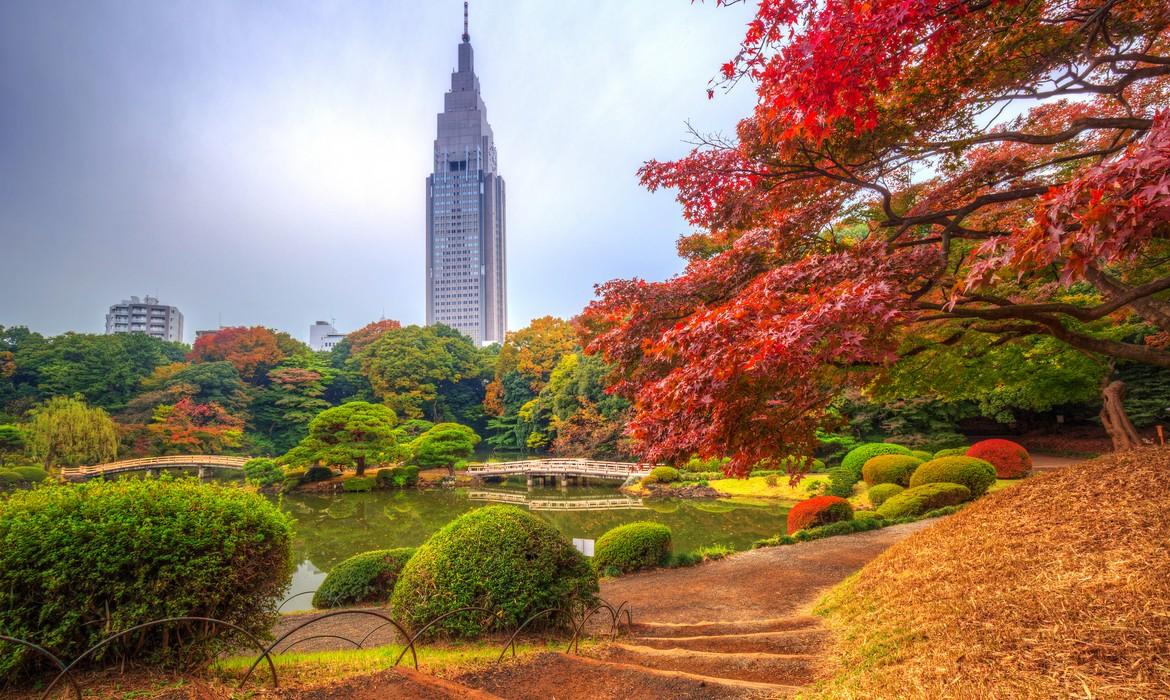 Autumn in the Shinjuku Park, Tokyo