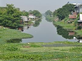 Majuli Island