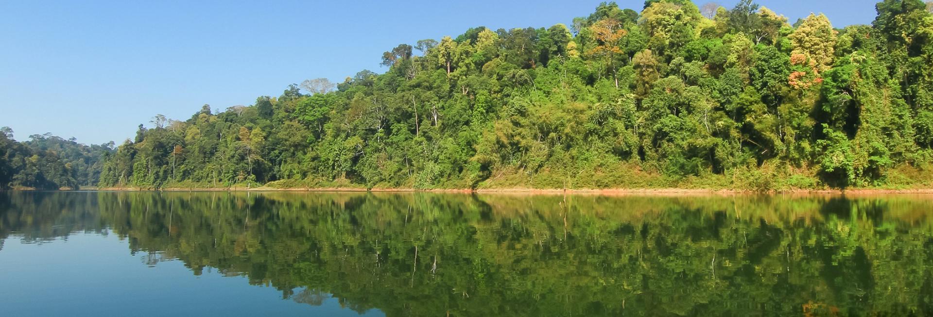 Belum Temengor Rainforest Reserve, Malaysia