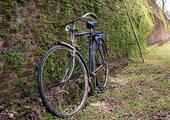 Cycle around Polonnaruwa